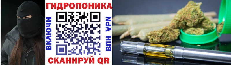 где можно купить наркотик  блэк спрут онион  Марихуана Bruce Banner  Покачи 